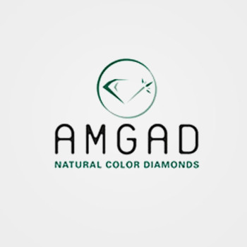 https://www.amgad.com/upload/product/amgad_LQC RN 23L01-0011.jpg
